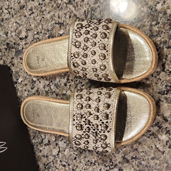 LANE SLIDES - Picture 2 of 8